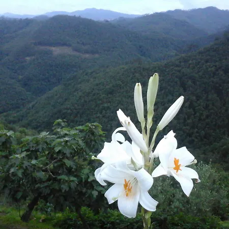 בית הארחה Casa Maria 3*