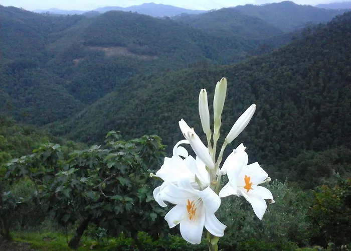 Gasthuis Casa Maria 3*