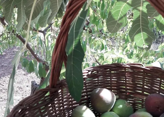 Casa Maria 3* Sestri Levante