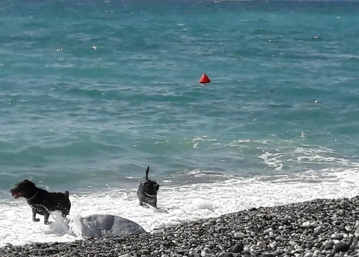 Casa Maria Gasthuis 3*