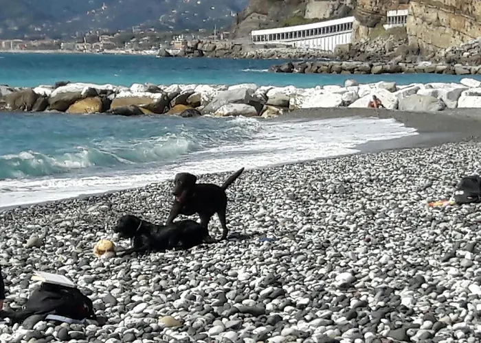 Casa Maria Sestri Levante