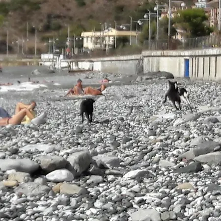 Casa Maria Affittacamere