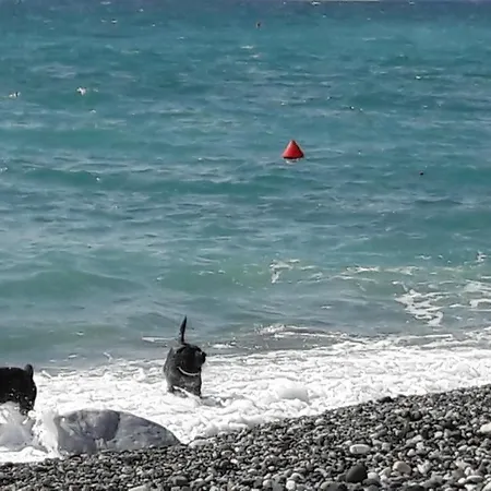 Casa Maria Vendégház 3*